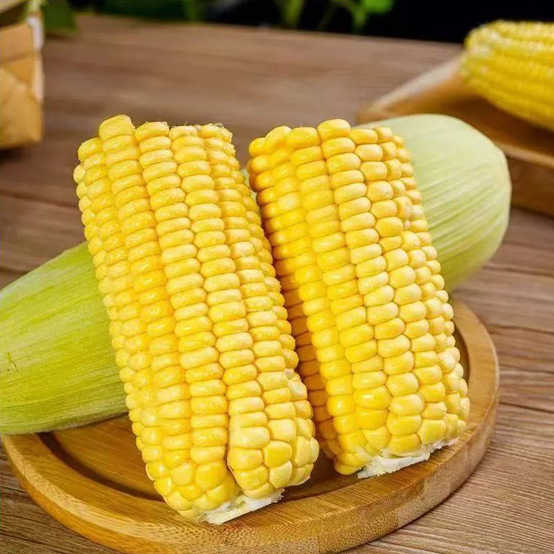 甜玉米 SWEET CORN
