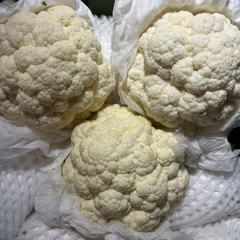 进口白花菜 IMPORT CAULIFLOWER