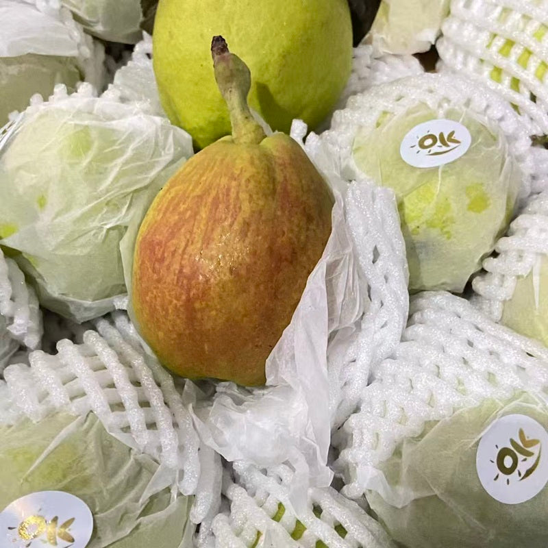 进口香梨 FRAG RANT PEAR