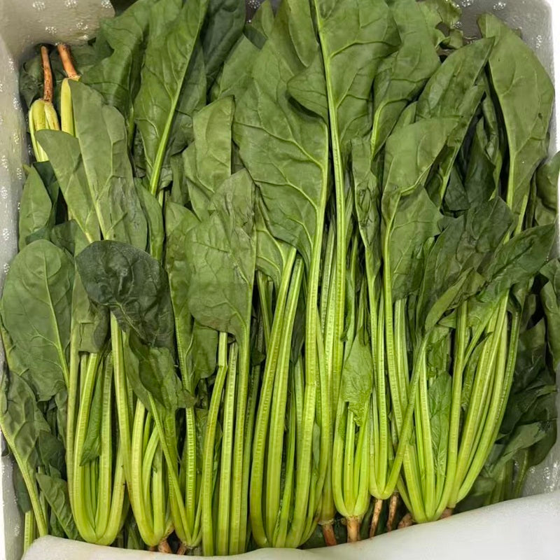 2包 进口菠菜 IMPORT SPINACH POIONCHAY 2pack