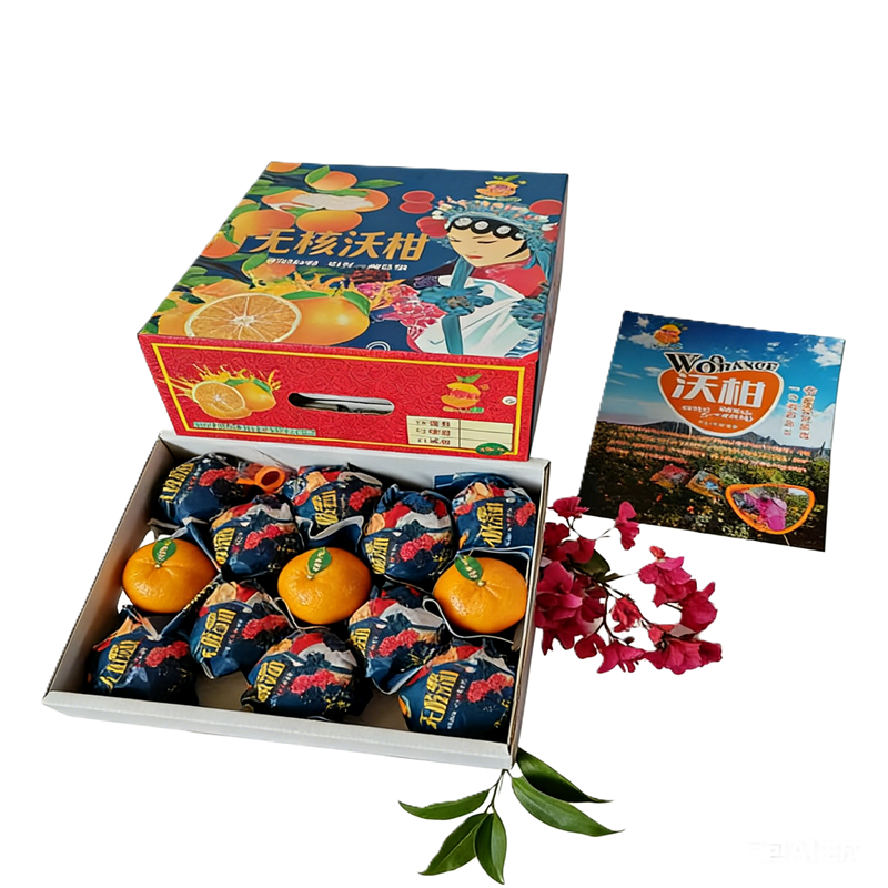 进口无核沃柑 WOGAN TANGERINE
