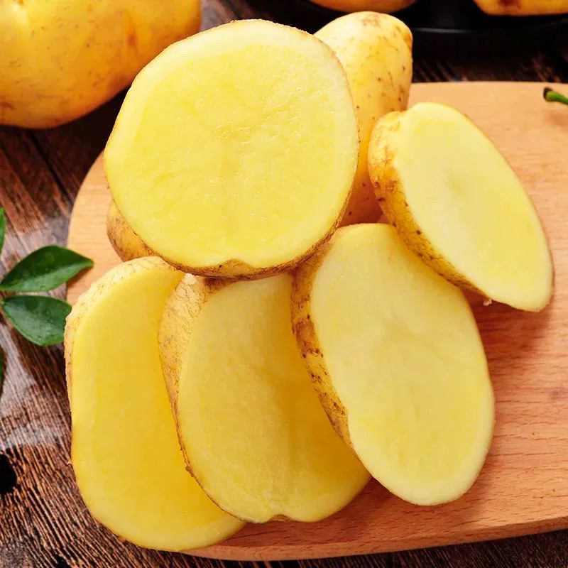 大土豆 POTATOES