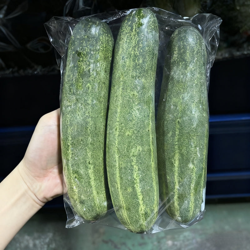 黄瓜 LOCAL CUCUMBER