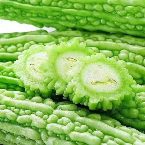 苦瓜 AMPALAYA