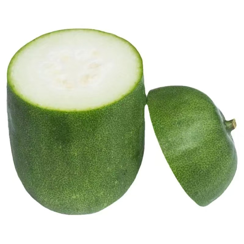 冬瓜 KUNDOL