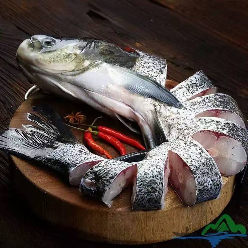 大头鱼 BULLHEAD