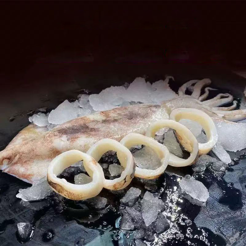 冰鲜鱿鱼圈 ICE SQUID RINGS