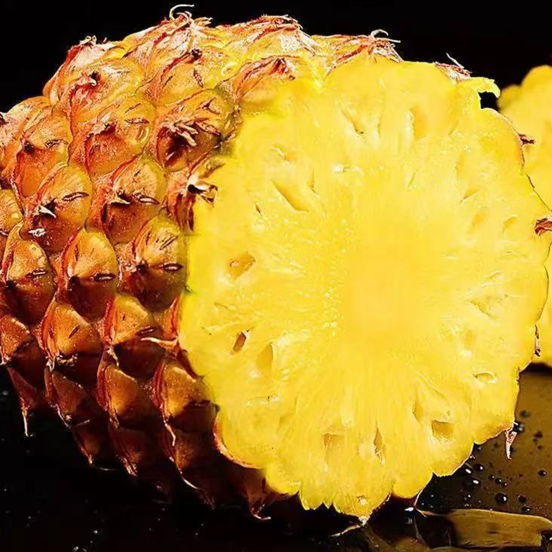 大凤梨 PINEAPPLE