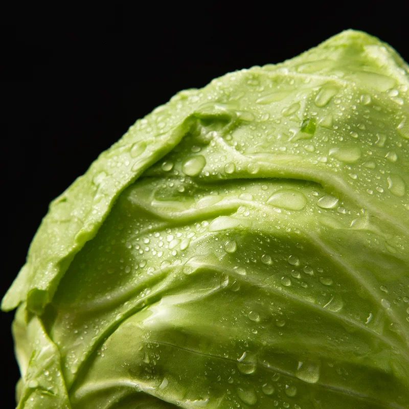 包菜 GREEN CABBAGE
