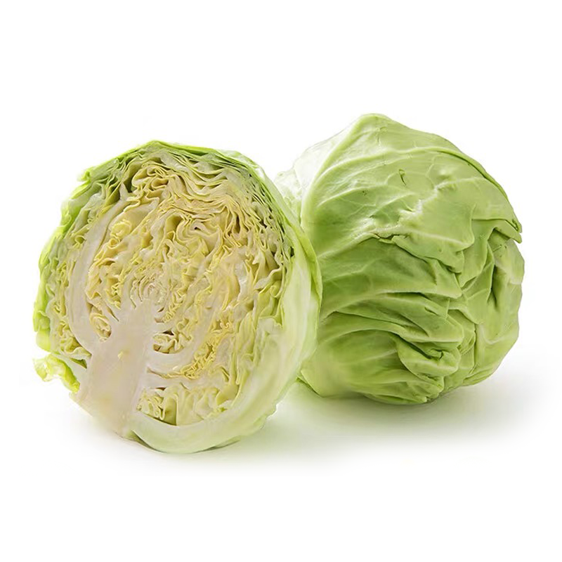 包菜 GREEN CABBAGE