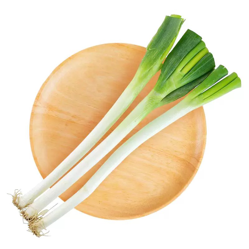 大葱 ONION LEEK