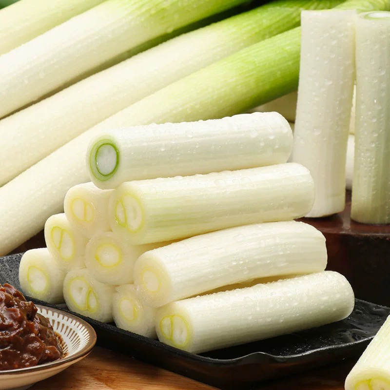大葱 ONION LEEK