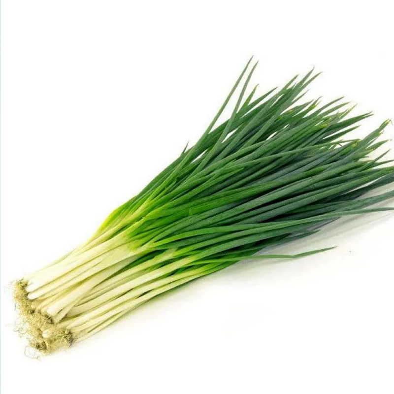 香葱/小葱 SPRING ONION
