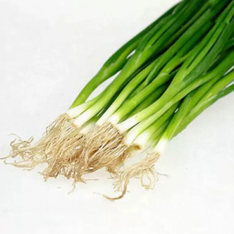 香葱/小葱 SPRING ONION