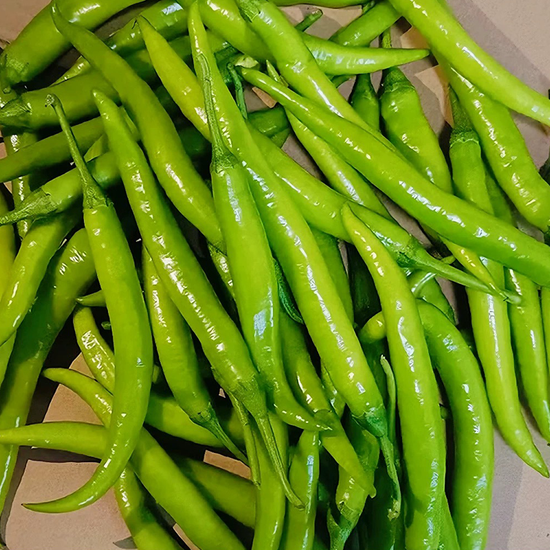 尖椒(杭椒) CHILI GREEN
