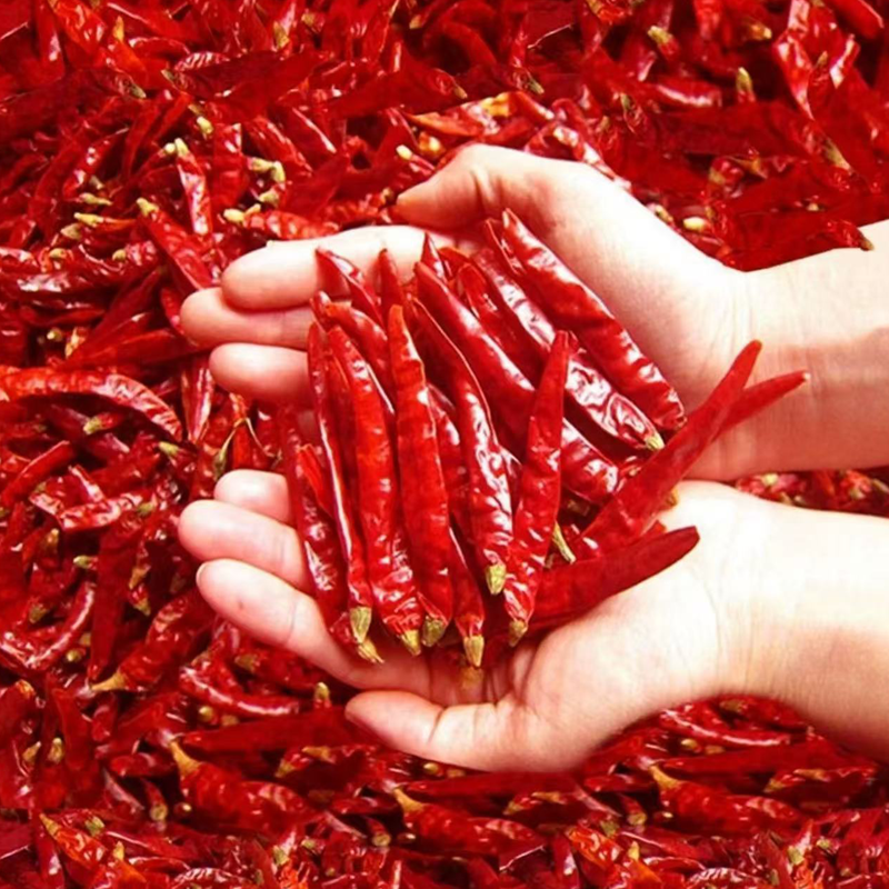 干辣椒 DRY CHILI 250G