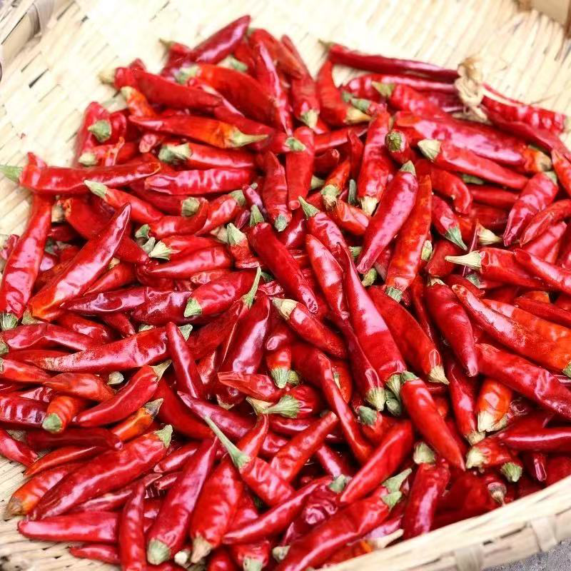 干辣椒 DRY CHILI 250G