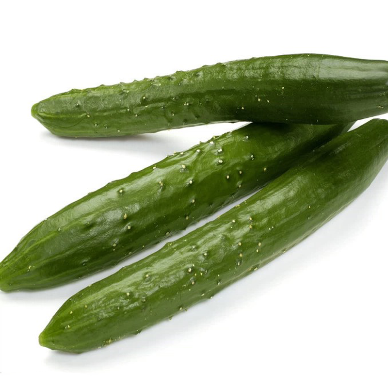 日本黄瓜 JAPANESE CUCUMBER