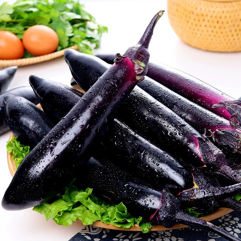 茄子 EGG PLANT