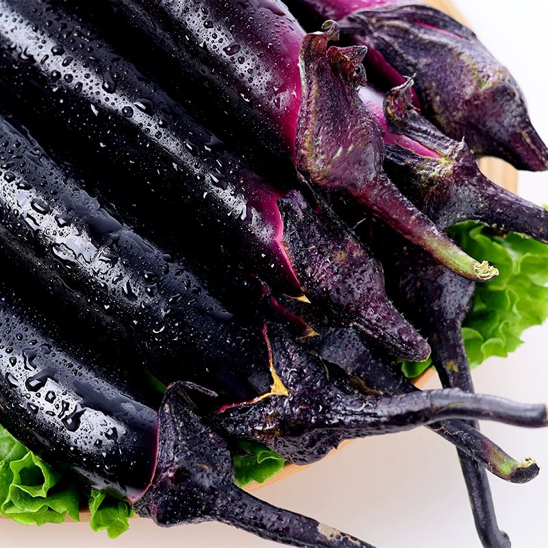 茄子 EGG PLANT