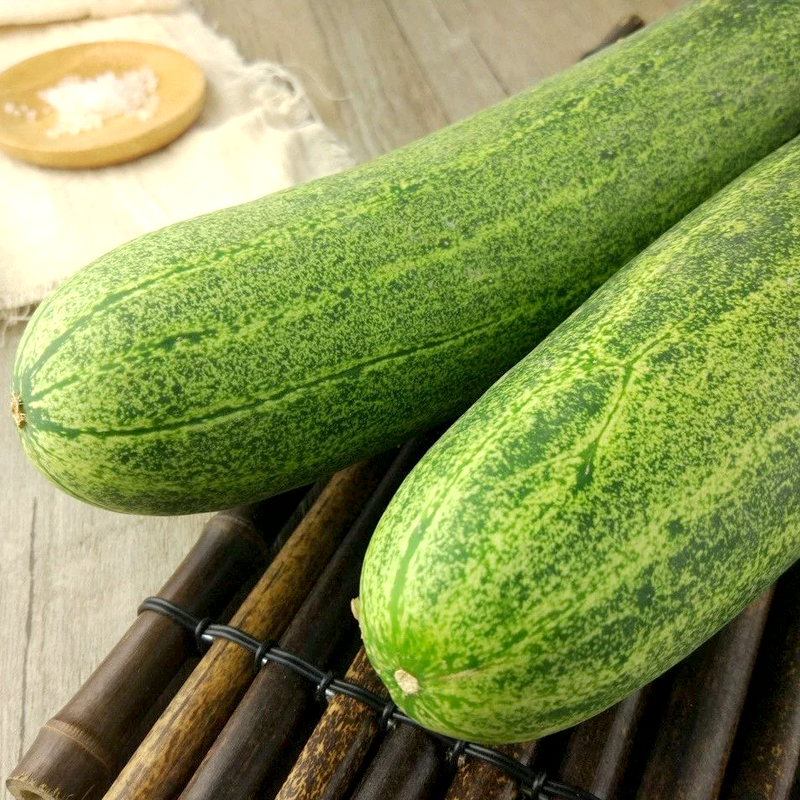 黄瓜 LOCAL CUCUMBER