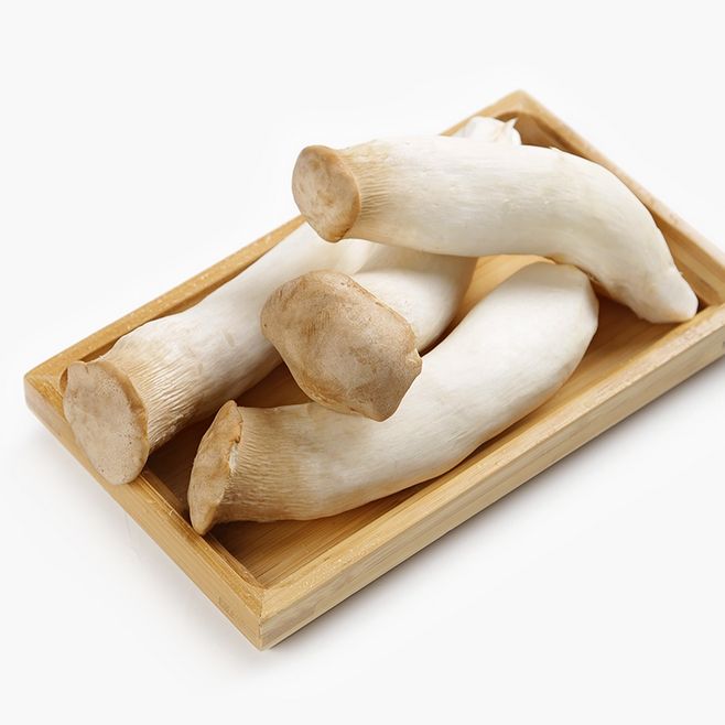 进口杏鲍菇 ABALON MUSHROOM