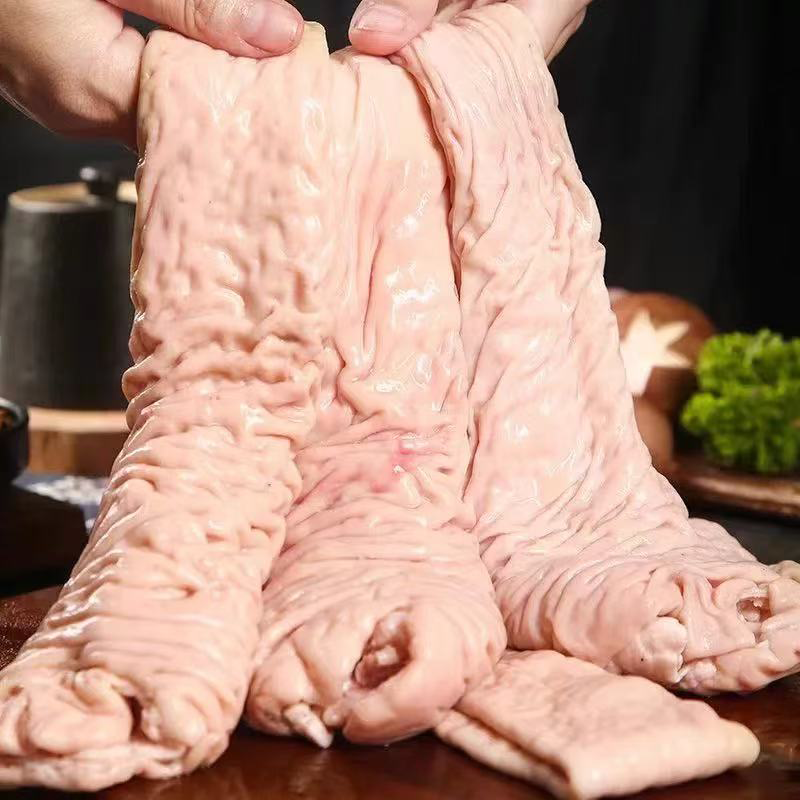 大肠头 LARGE INTESTINE