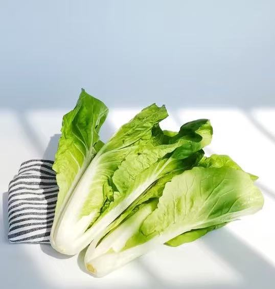 佳宝奶白菜 JABAA MILK CABBAGE