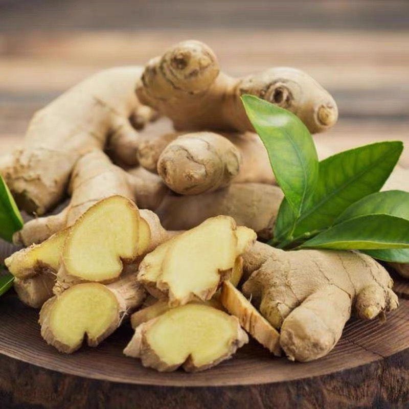 生姜 GINGER
