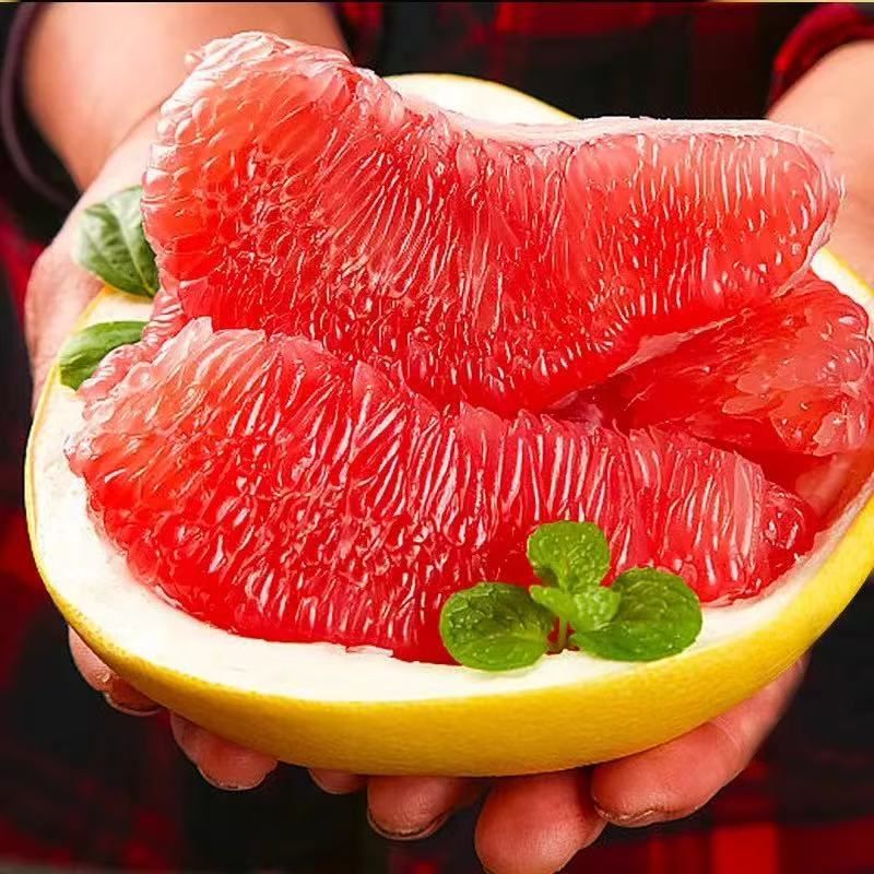 红心蜜柚 PUMMELO