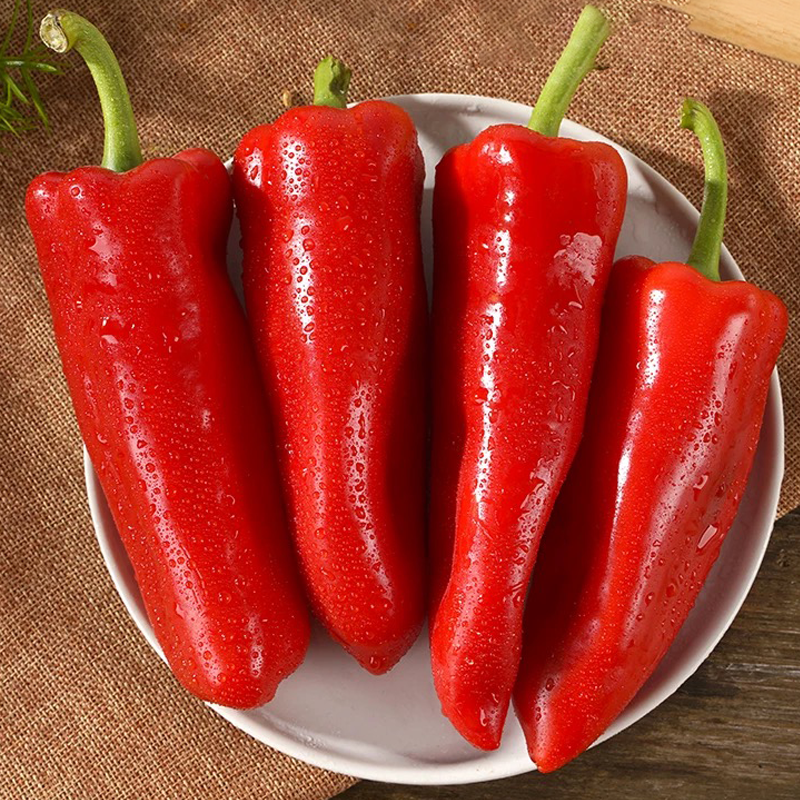 红肉椒 RED PEPPER