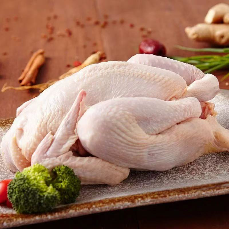 肉鸡 FRESH CHICKEN