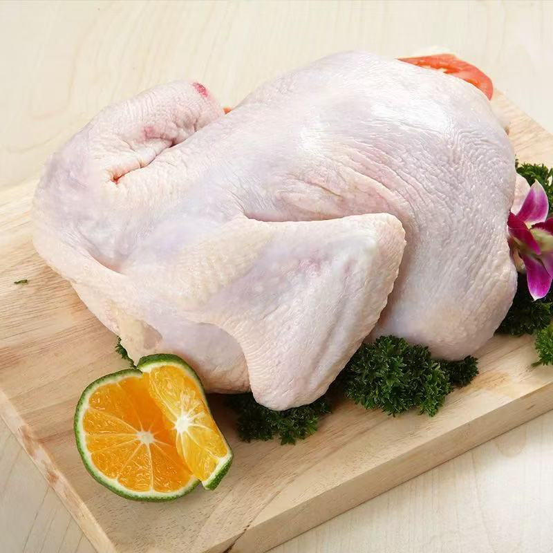肉鸡 FRESH CHICKEN