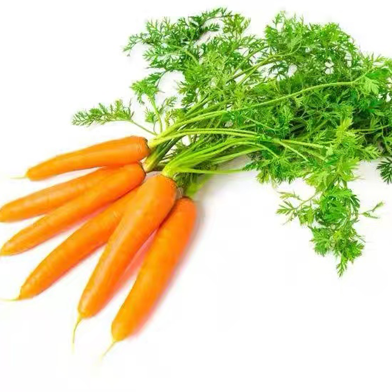 进口胡萝卜 CARROTS