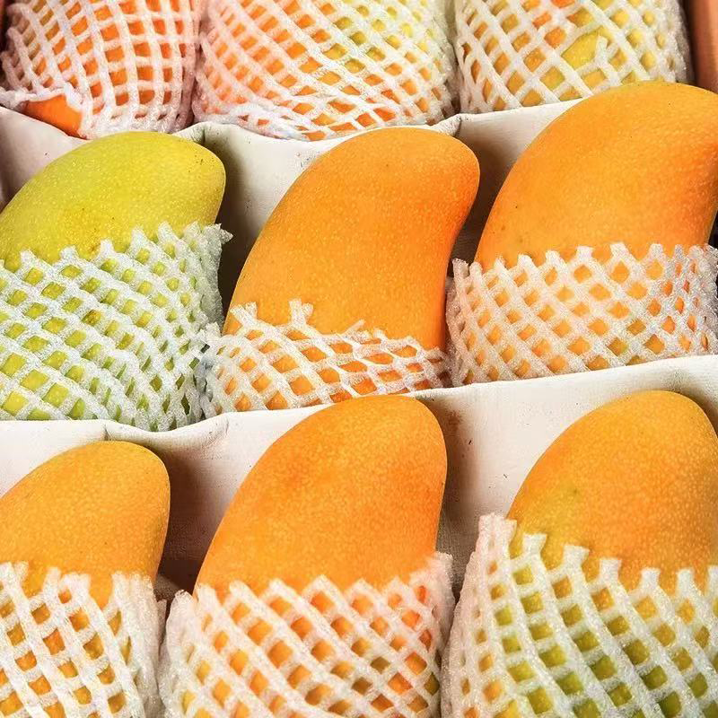 芒果 MANGO