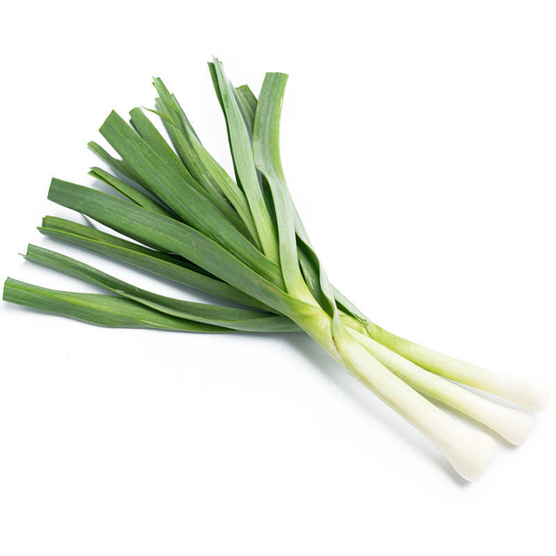 进口蒜苗 IMPORT GARLIC LEAVE