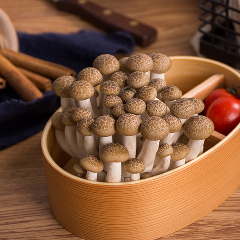 进口蟹味菇 SHIMEJI MUSHROOM
