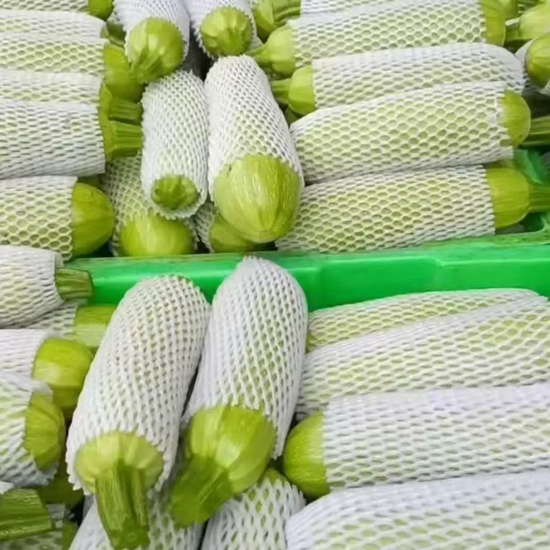 西葫芦/翠玉瓜 ZUCCHINI