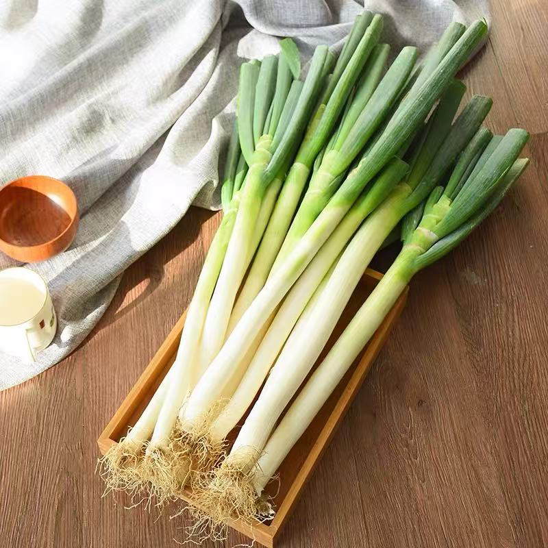 2包 进口山东大葱 IMPORT ONION LEEK 2pack