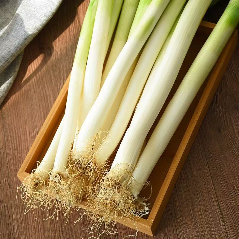 2包 进口山东大葱 IMPORT ONION LEEK 2pack