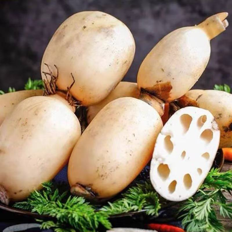 进口莲藕 IMPORT LOTUS ROOT