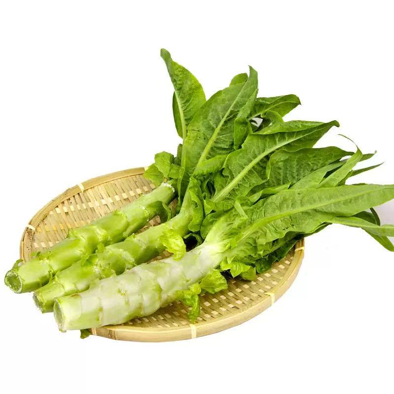 进口莴笋 IMPORT CELTUCE
