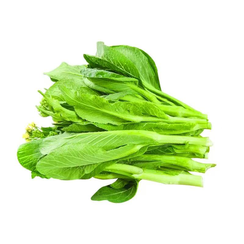 菜心 CHOYSUM