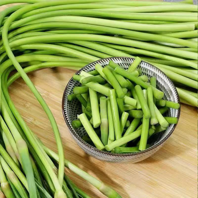 进口蒜苔(蒜薹) IMPORT GARLIC STICK