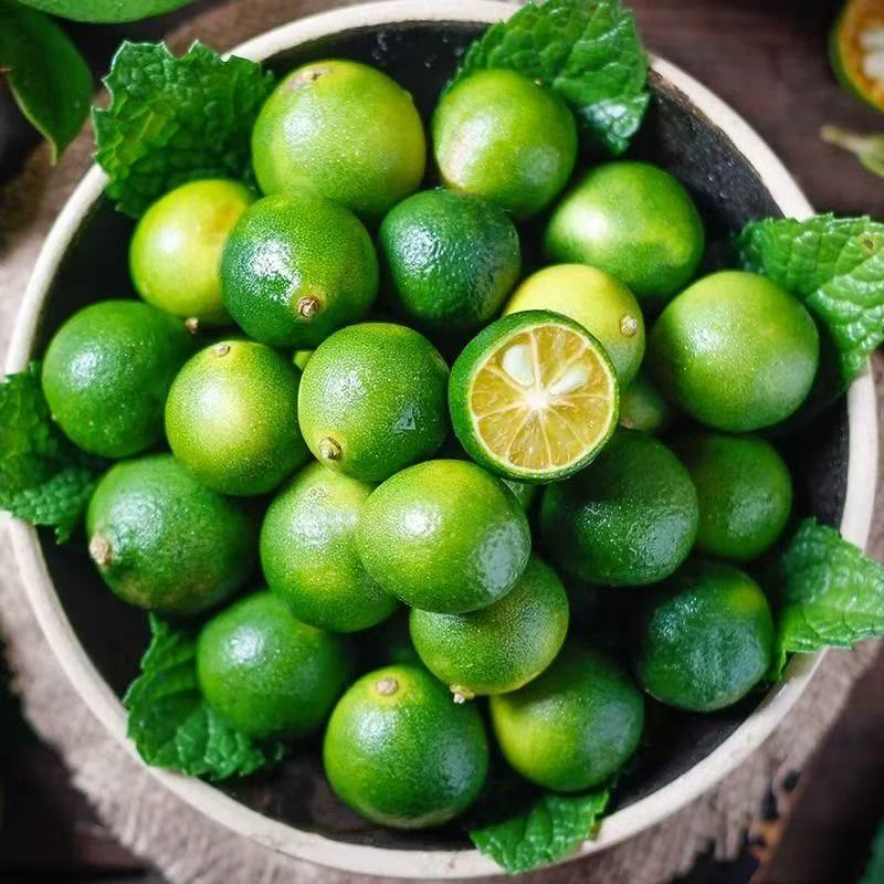 青桔 CALAMANSI