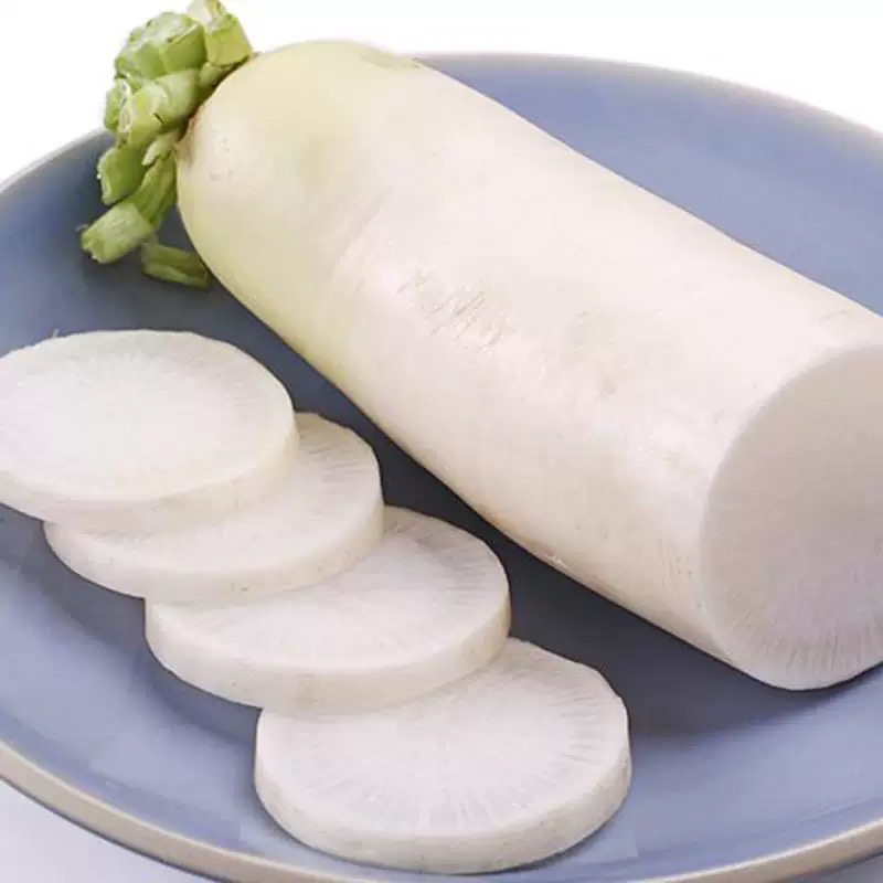 韩国白萝卜 KOREAN RADISH