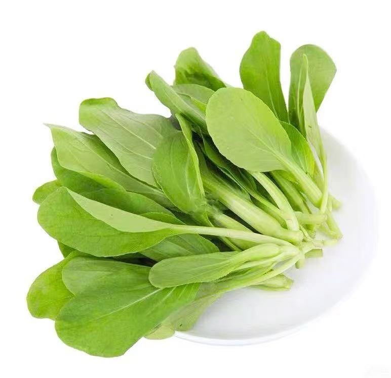 鸡毛菜 CHICKEN HAIR VEGETABLE