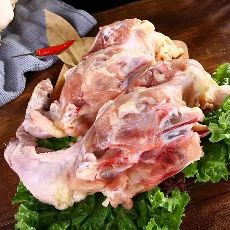 鸡骨架 CHICKEN BONE