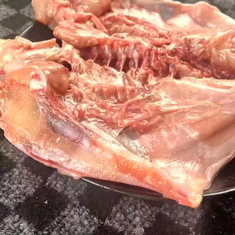 鸡骨架 CHICKEN BONE