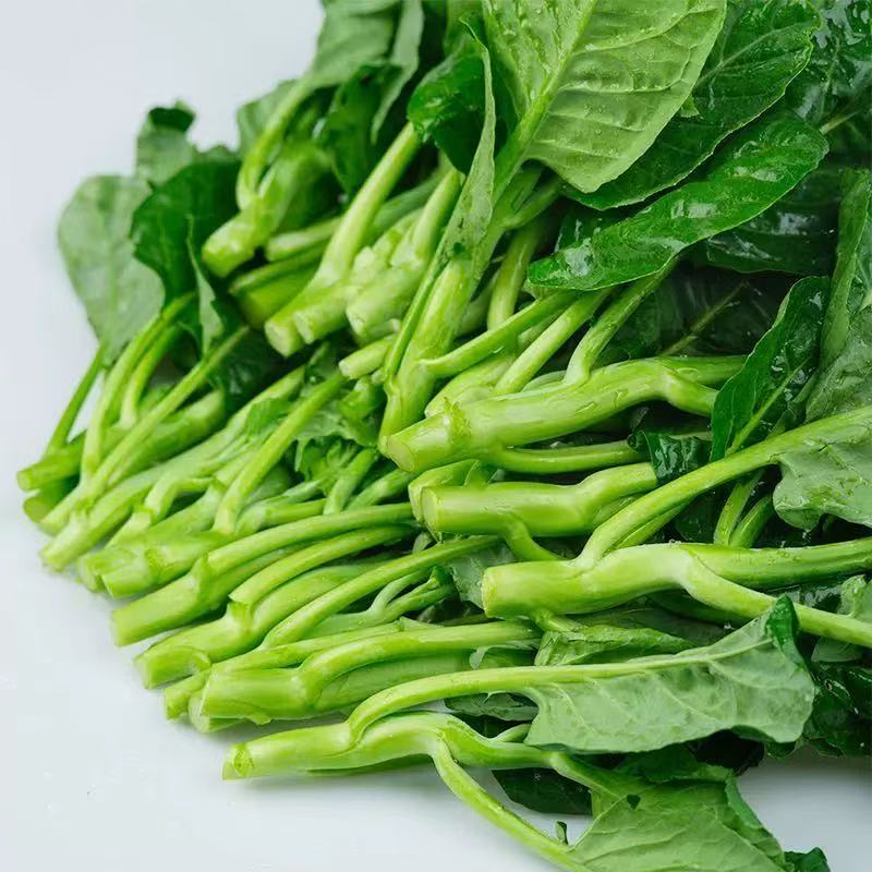 芥兰菜 KALE
